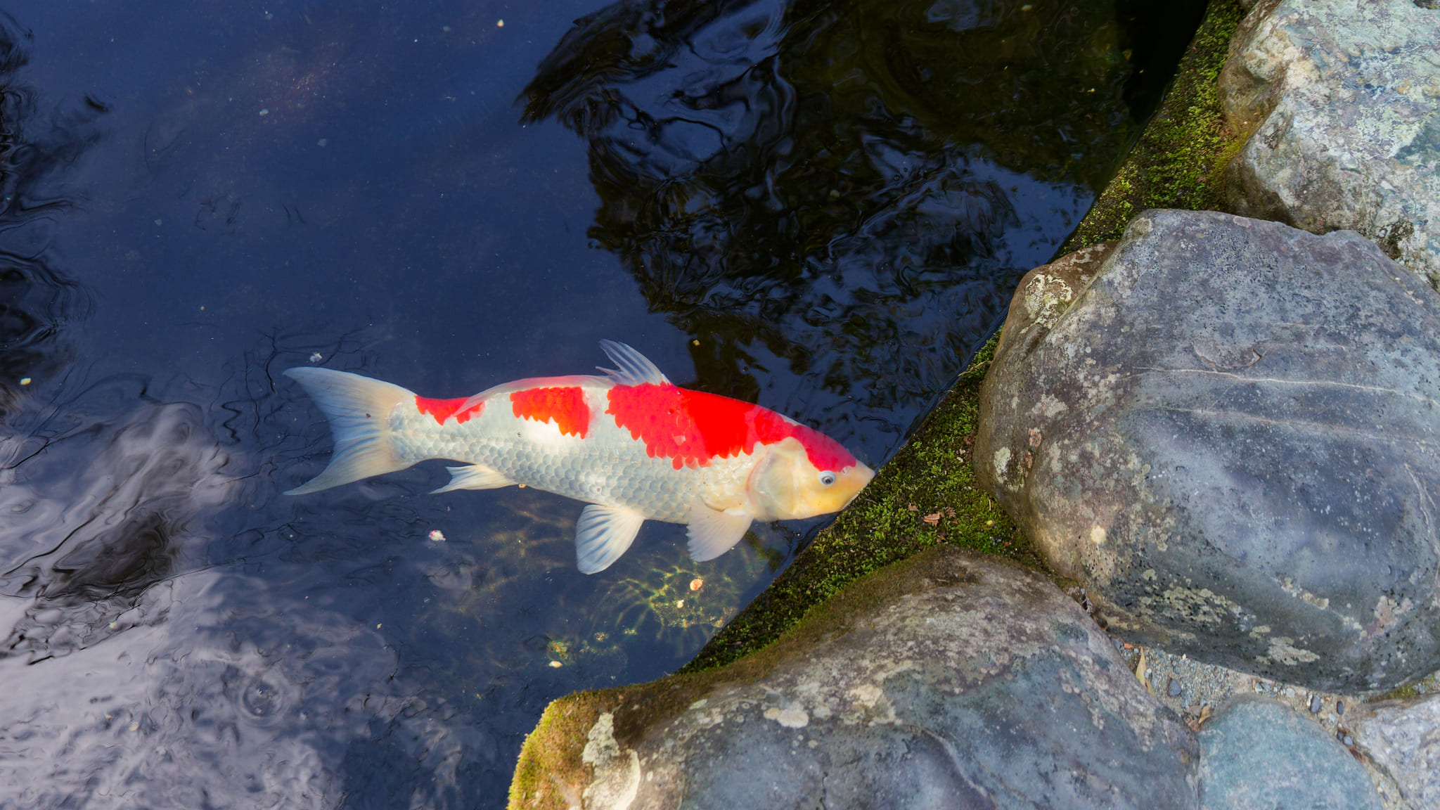 08-Kumano Kodo (4).jpg